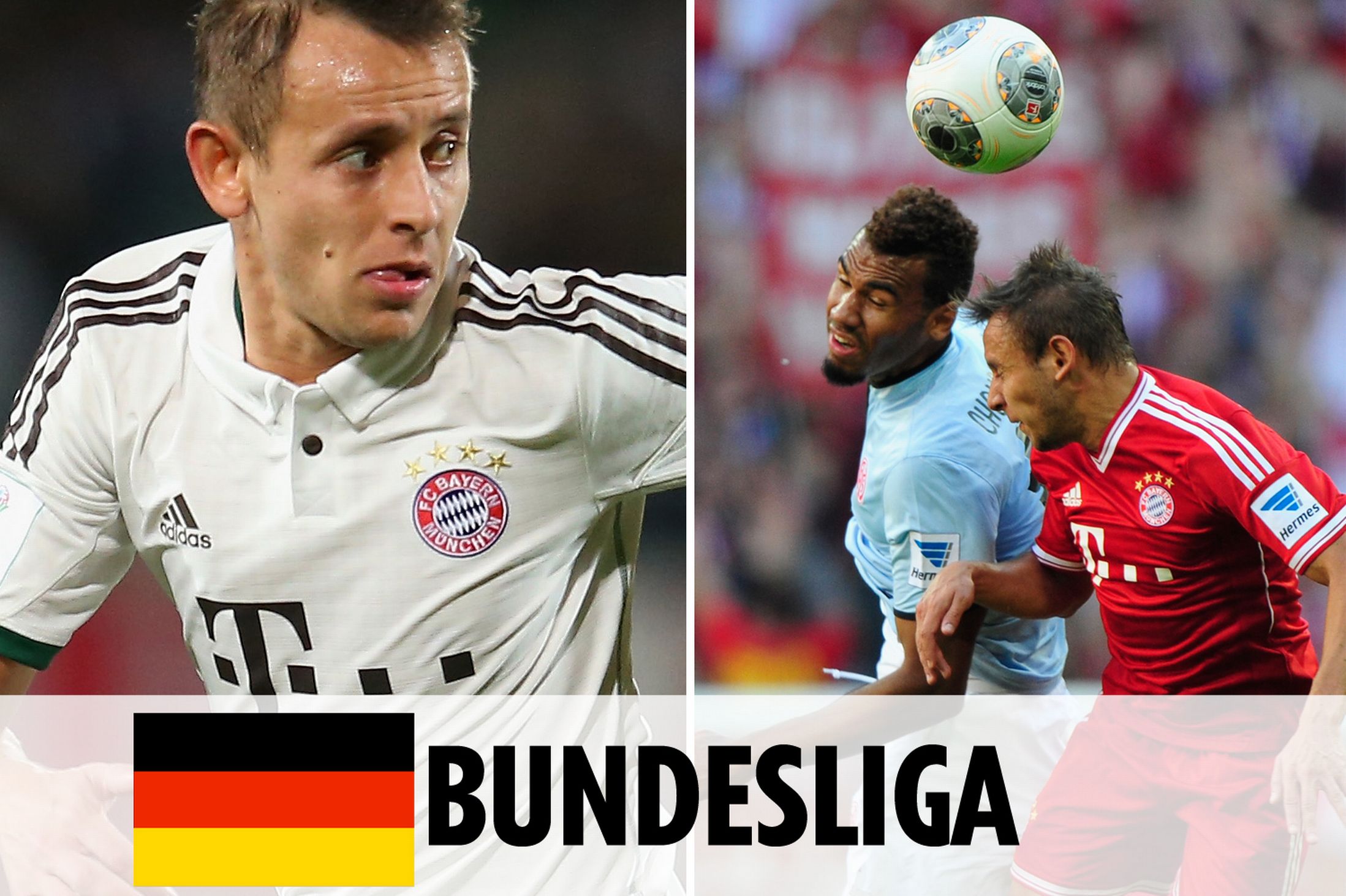 哈兰德后 哈兰德后