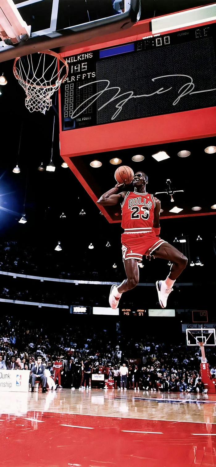 未来展望与 未来展望与