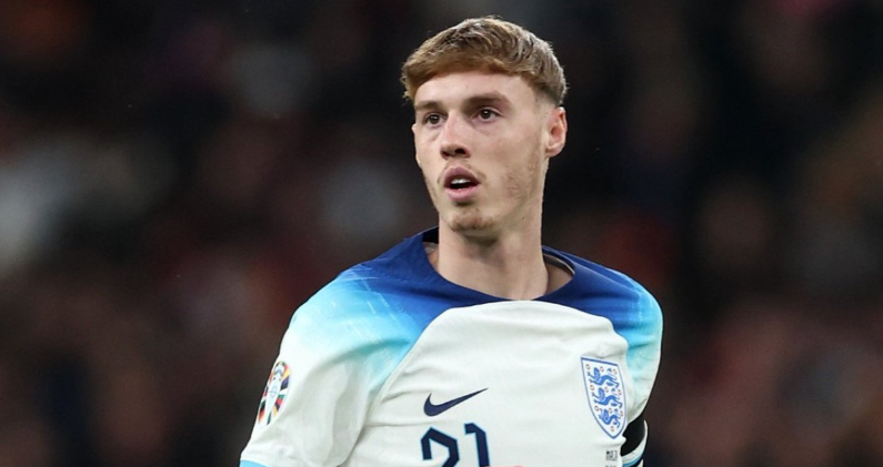 化带来的新 化带来的新