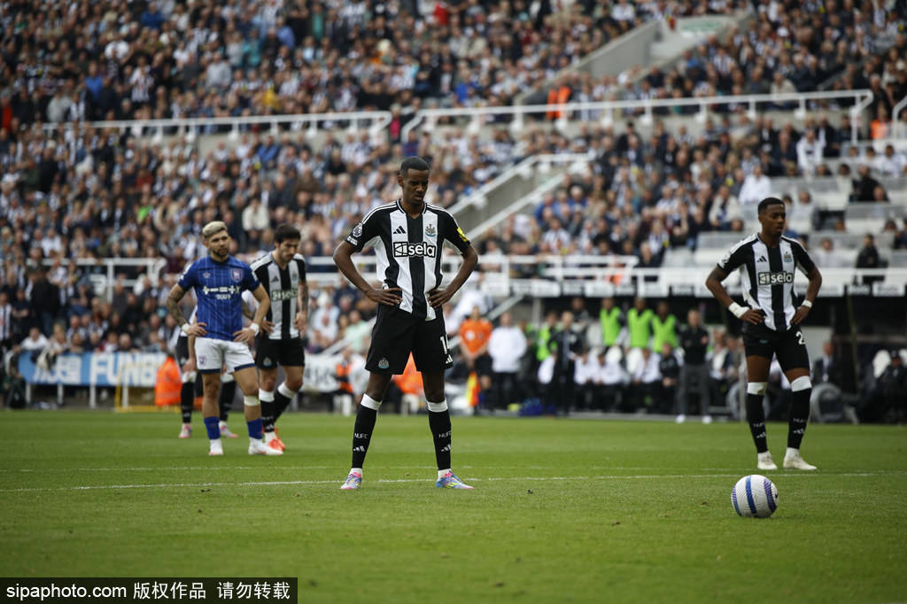 的完美结合 的完美结合