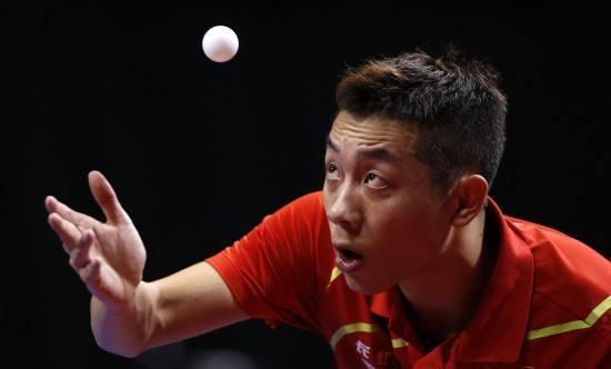 体型和状态 体型和状态